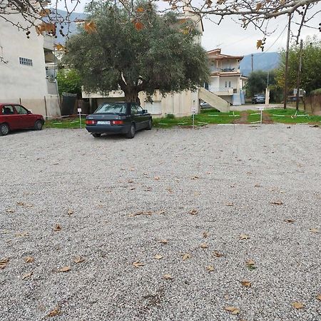 Dimitropoulos Apartments Eleonas Zewnętrze zdjęcie